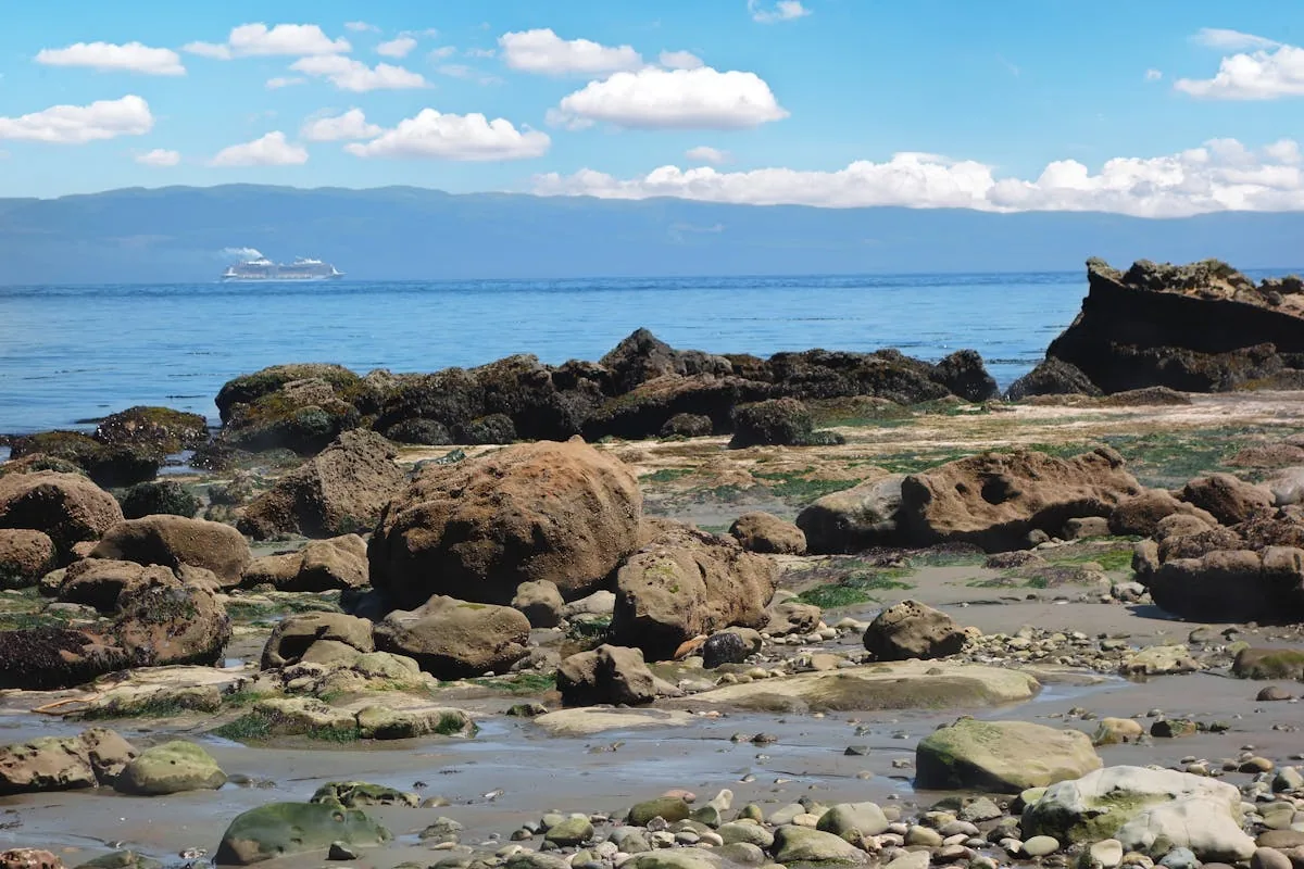 Paysage côtier avec navire de croisière à l'horizon